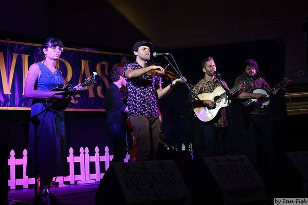 Lonely Heartstring Band headlined the festival and it was their third time touring New Zealand, they hope they'll be back again next year. Photo / Ian Fisk.